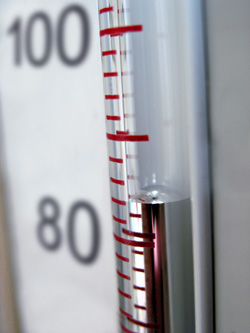 Low Blood Pressure